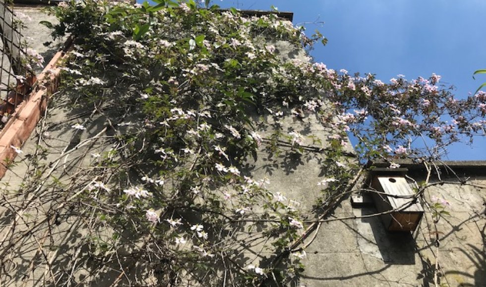 Mechelen_Nekkerspoelstraat