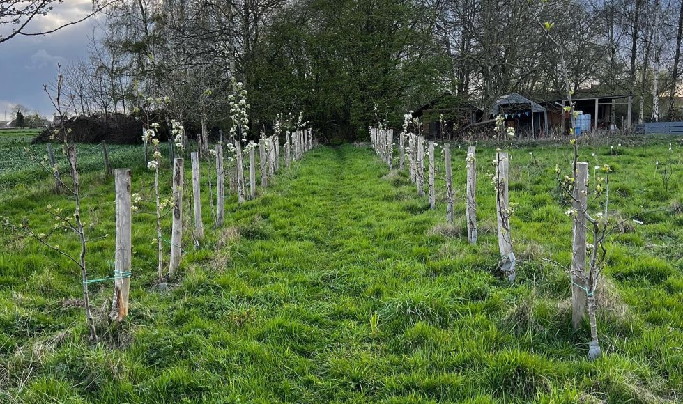 Meerbeke - Voedselbos ik, jij, wei