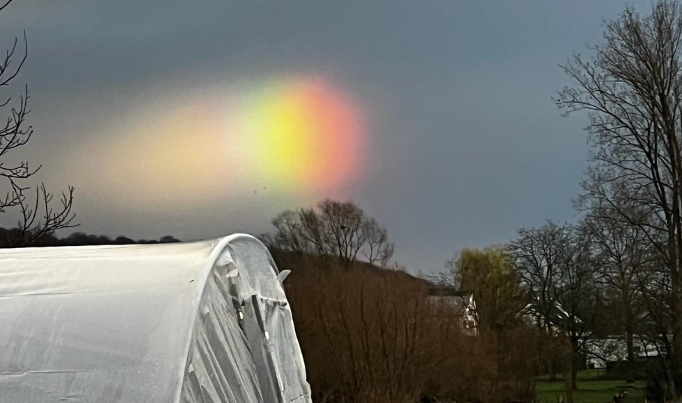 Meerbeke - Voedselbos ik, jij, wei