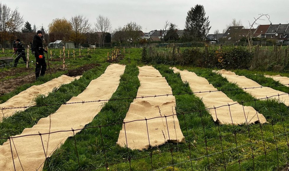 Meerbeke - Voedselbos ik, jij, wei