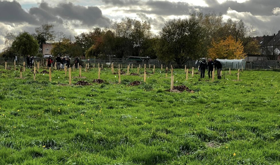 Meerbeke - Voedselbos ik, jij, wei