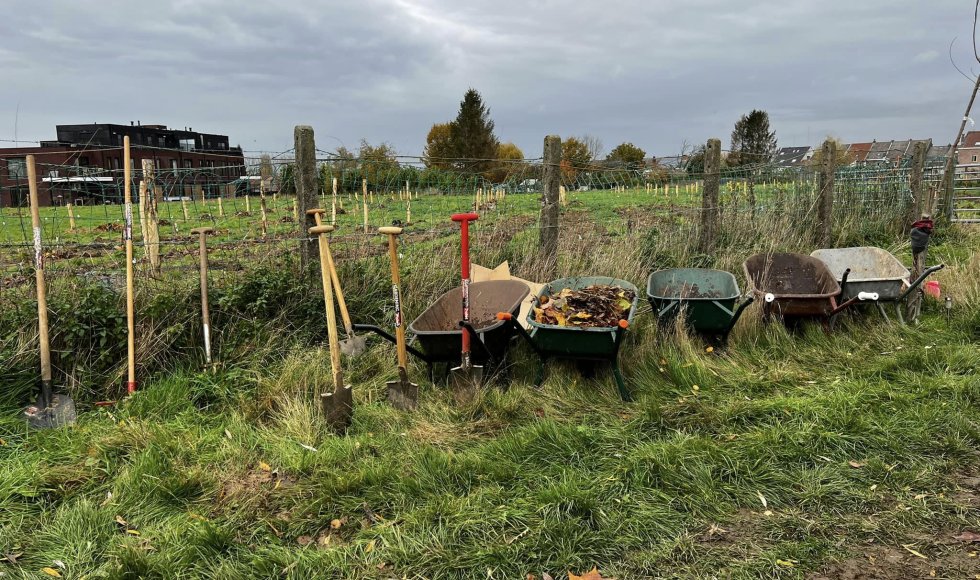 Meerbeke - Voedselbos ik, jij, wei