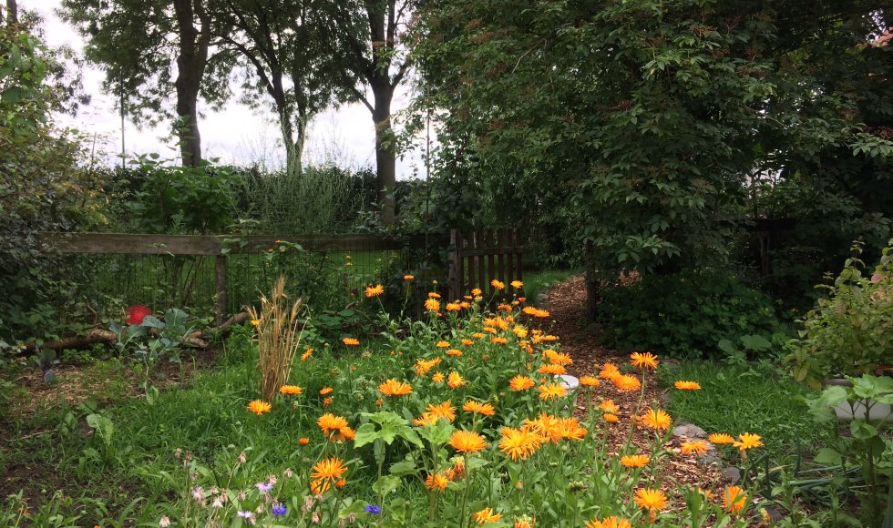 Ontdektuin de Maasakker 1