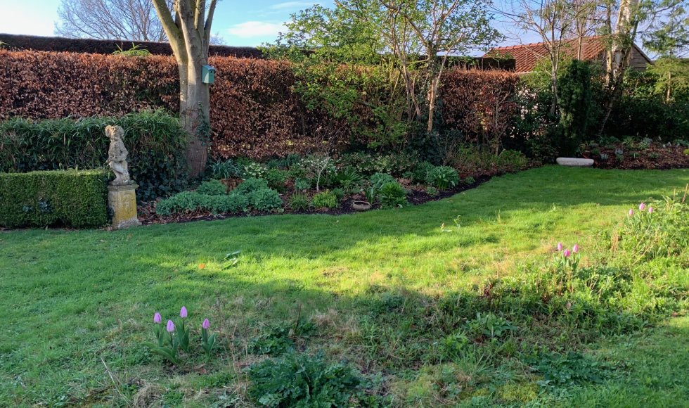 Merksplas Ecotuin van de familie Pelckmans-Martens 4