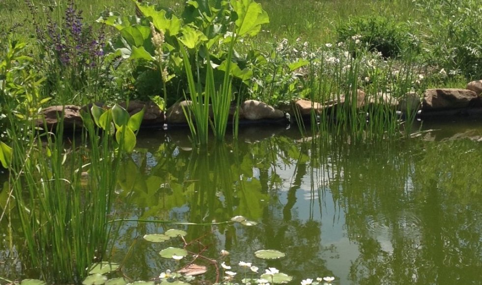 Mol Ecotuin van Joyce en Gerrit 6