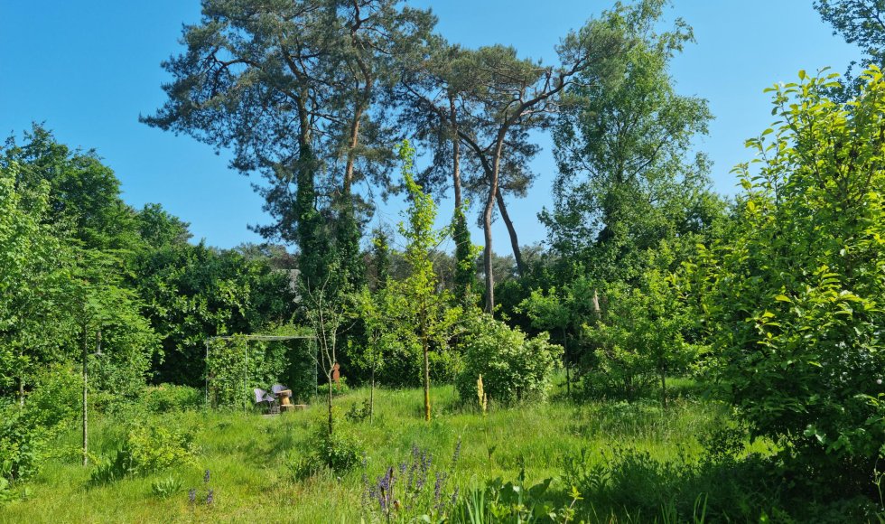 Mol Ecotuin van Joyce en Gerrit 1