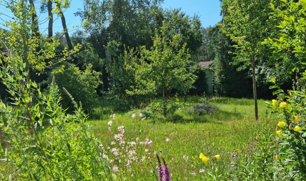 Mol Ecotuin van Joyce en Gerrit 5