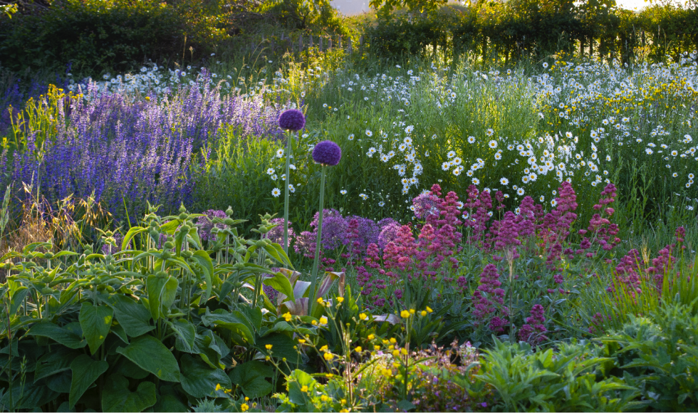 MolenbeekWersbeek Malushof 1