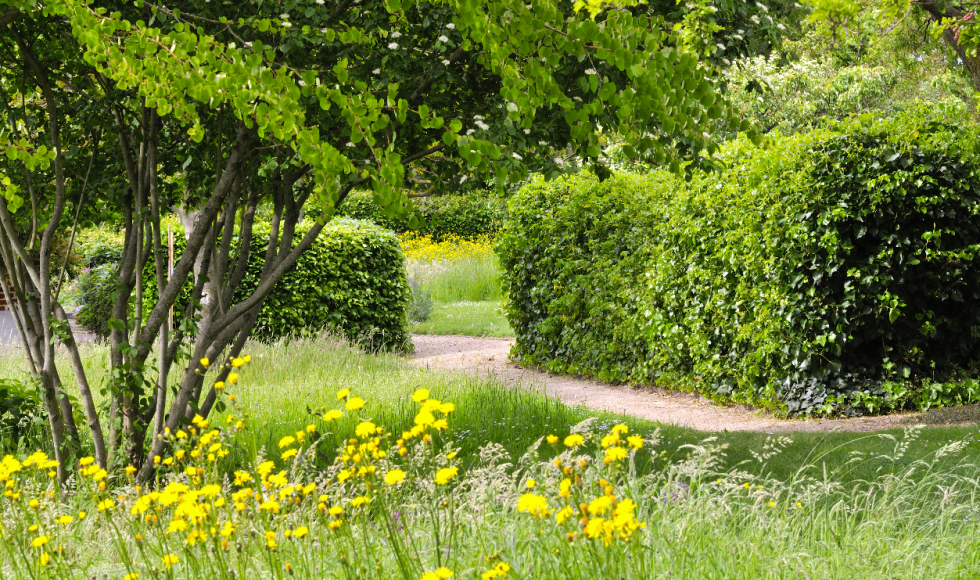 MolenbeekWersbeek Malushof 3