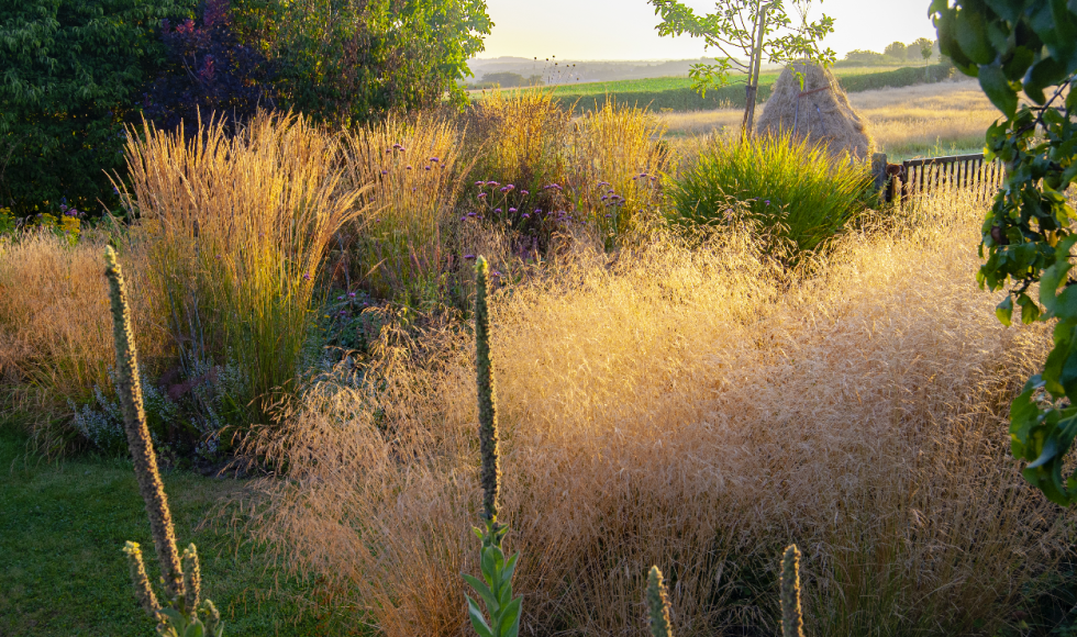 MolenbeekWersbeek Malushof 4