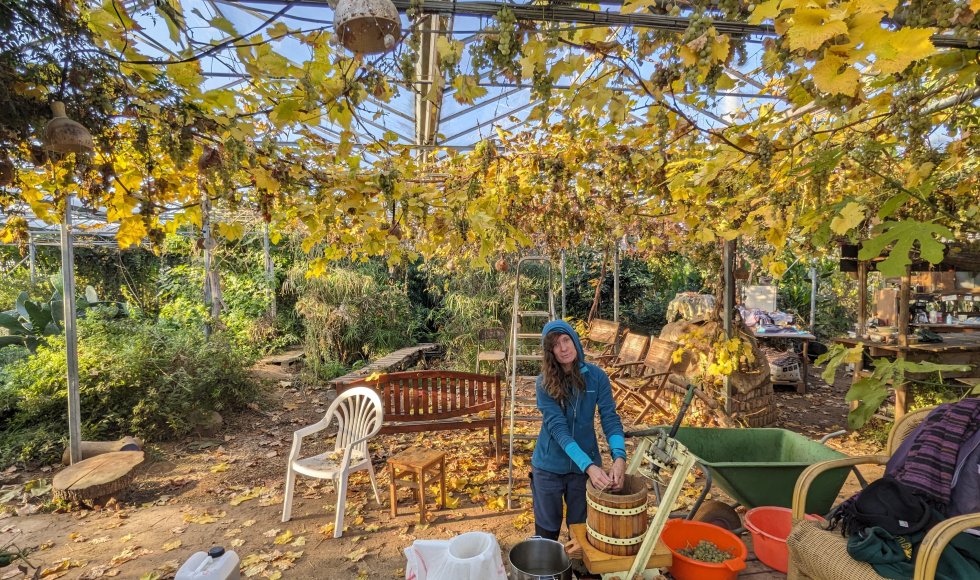 Moorsel De Warme Meente 1