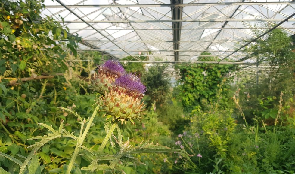 Moorsel De Warme Meente 4