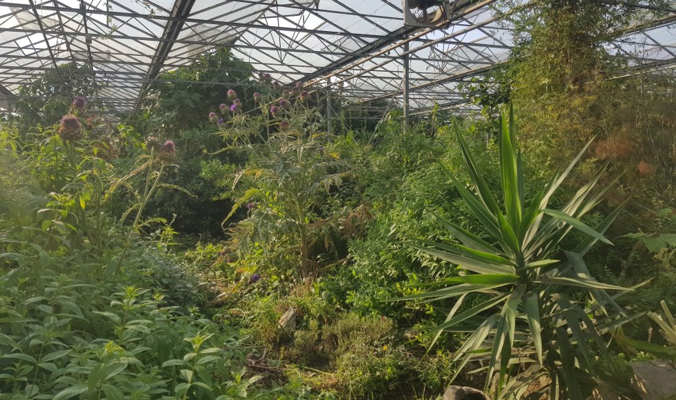 Moorsel De Warme Meente 5