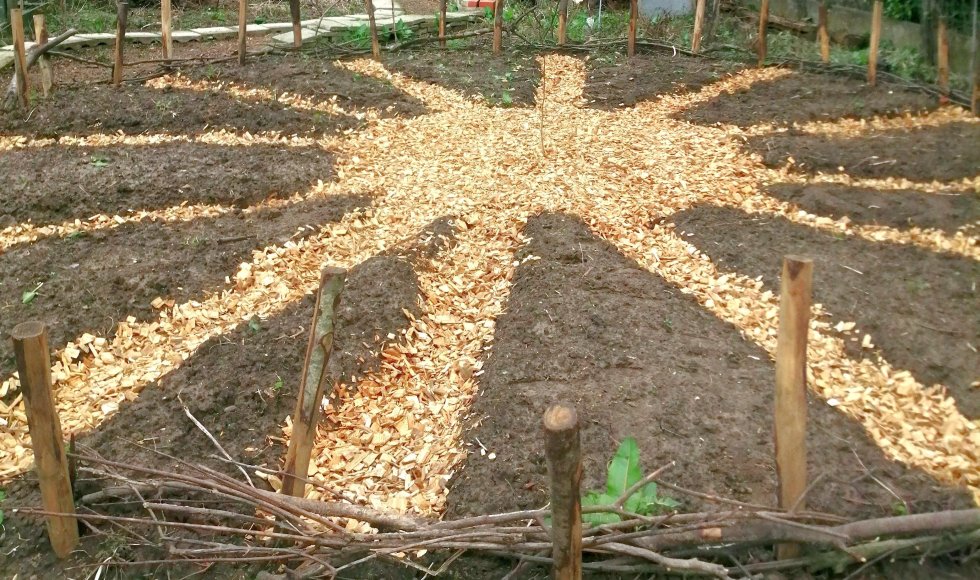 Moorsel Undra tuin 1