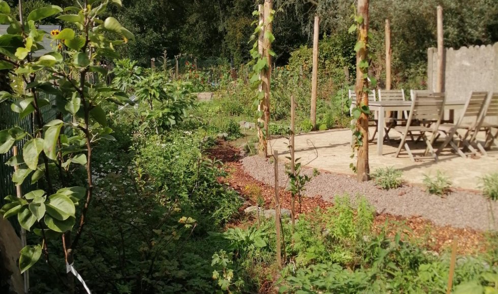 Moorsel Undra tuin 2