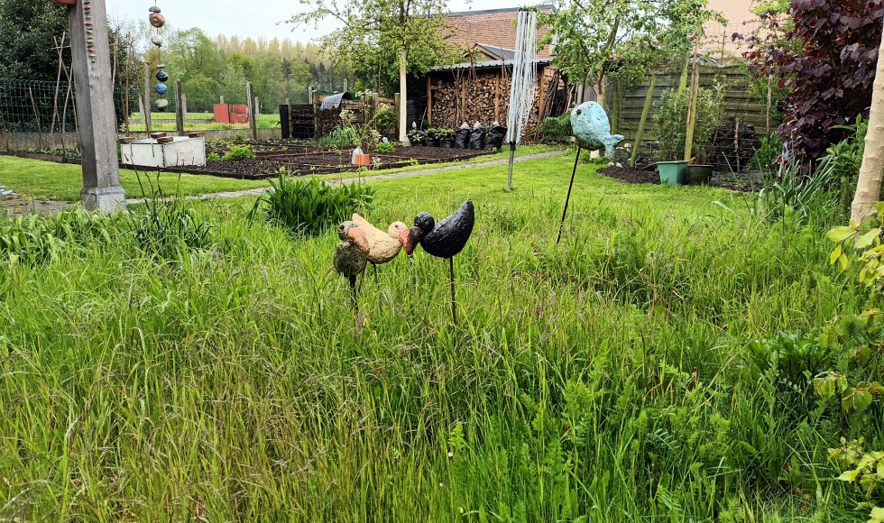 Munte Ecotuin Groenstraat