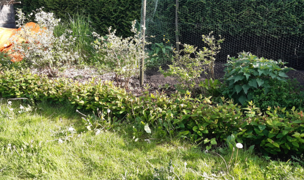 Natuurlijk moestuin familie Wilbrink 1