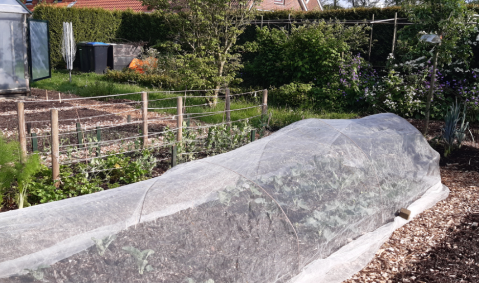 Natuurlijk moestuin familie Wilbrink 2