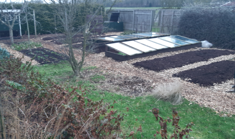 Natuurlijk moestuin familie Wilbrink 4