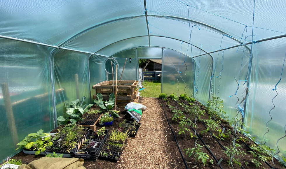 Nazareth Hanne's gezellige biomoestuin 2