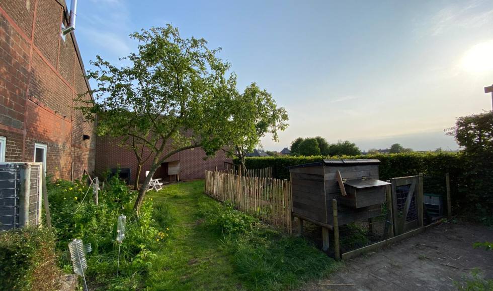 Nazareth Hanne's gezellige biomoestuin 5