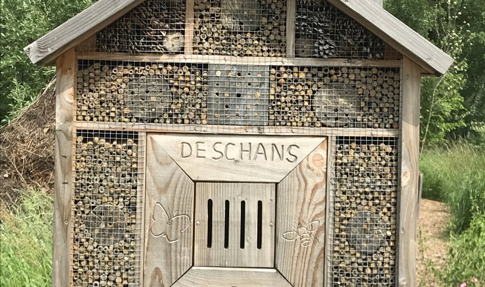 Neeroeteren Schans 16