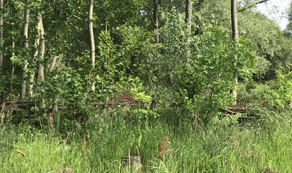 Neeroeteren Schans 17