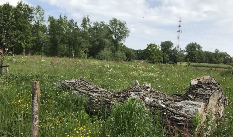 Neeroeteren Schans 19