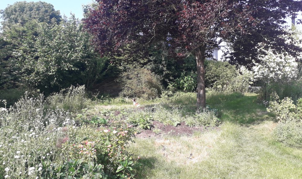 Nieuwvliet Kapelhof 1