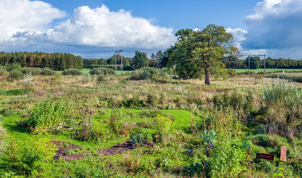 Olst_Buurtmoestuin Eetbaar Olst-Wijhe