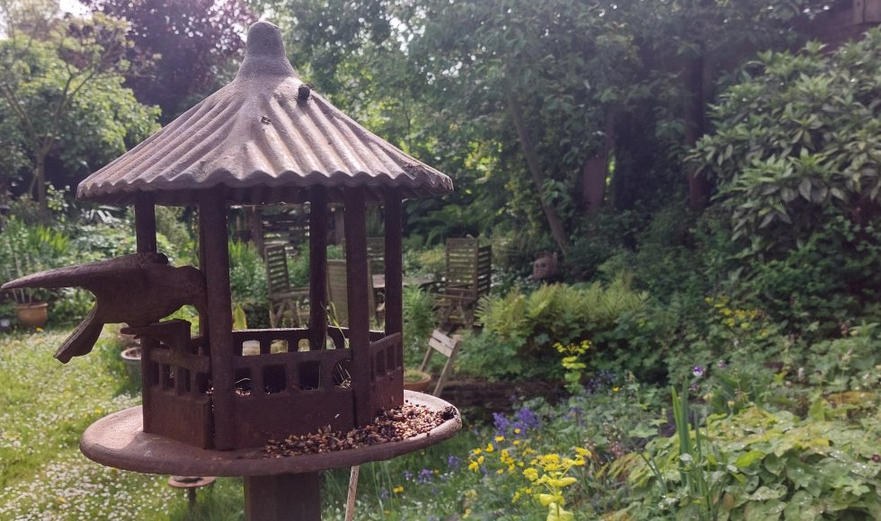 Oss Neffe dn bocht 11