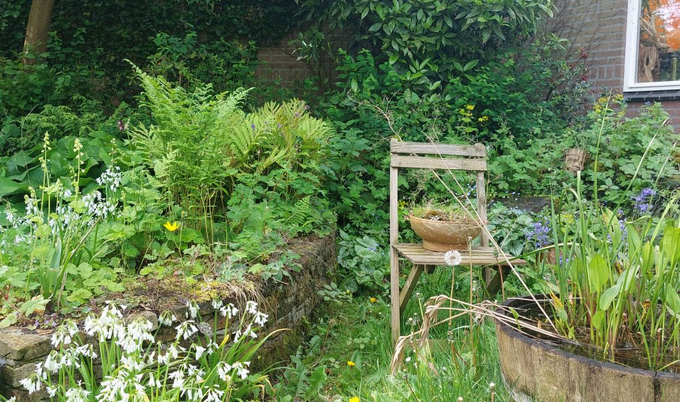 Oss Neffe dn bocht 12