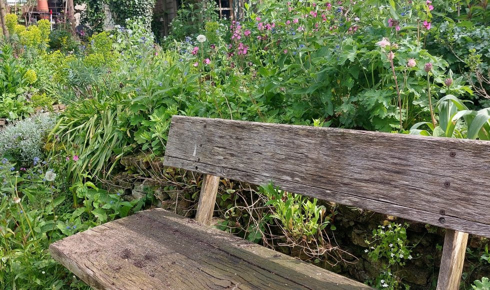 Oss Neffe dn bocht 13