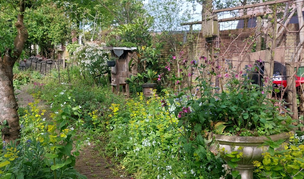 Oss Neffe dn bocht 14