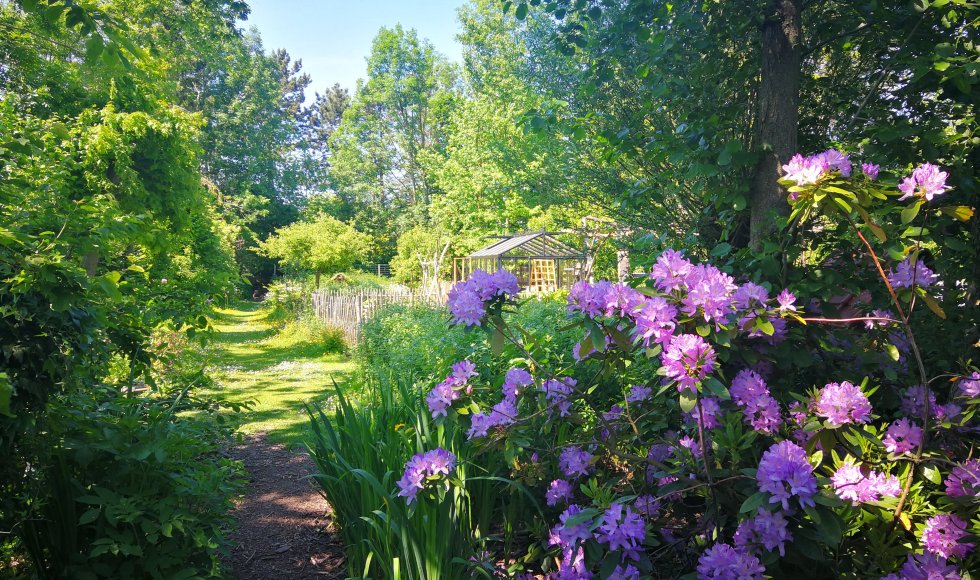 Hombeek Pascales luie relaxten 1