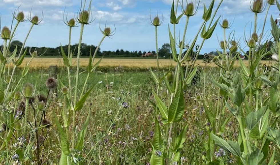 Retranchement Kulderzipken 6