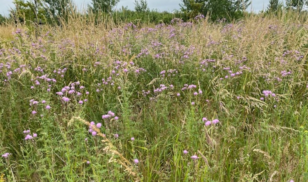 Retranchement Kulderzipken 5