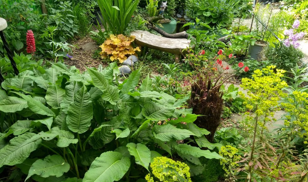 Roeselare Kleurig stadstuintje 5