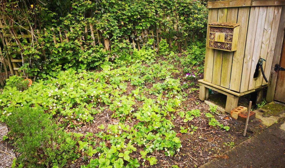 Ruddervoorde La Fôret de Chinouk 1