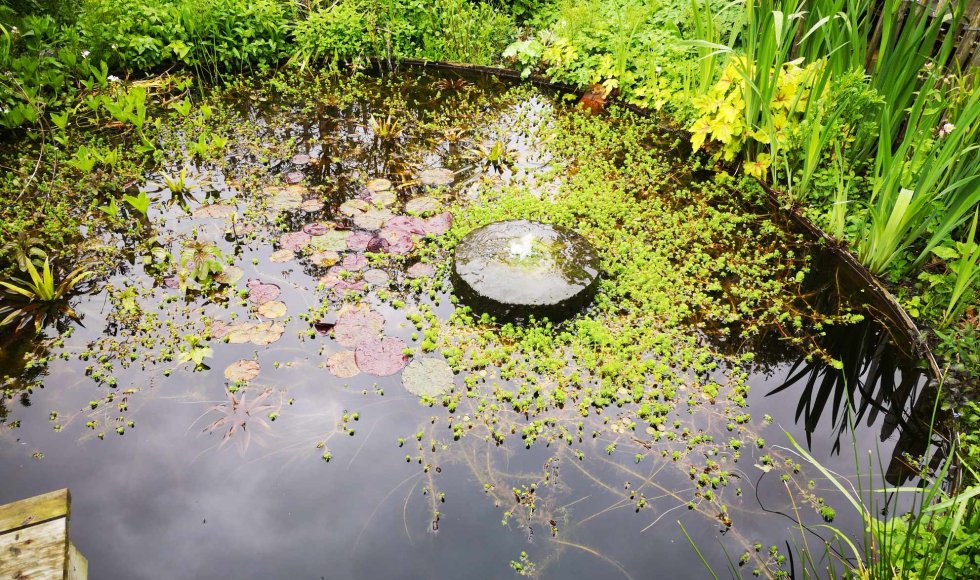 Ruddervoorde La Fôret de Chinouk 3
