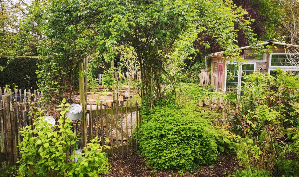 Ruddervoorde La Fôret de Chinouk 4