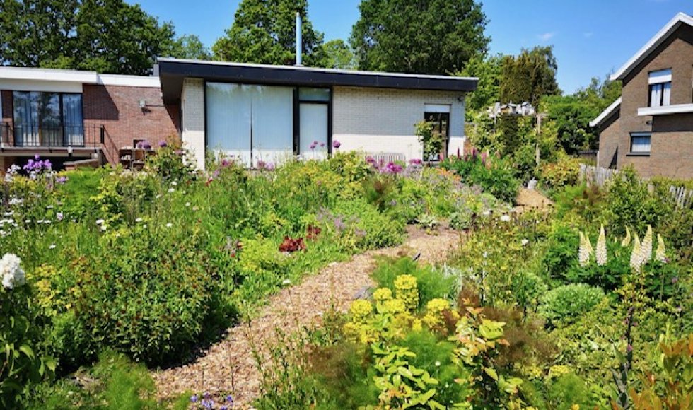 Ruddervoorde La Forêt de Chinouk 2