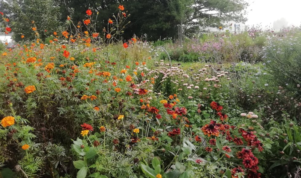 ST. Joris Weert Bookette 5