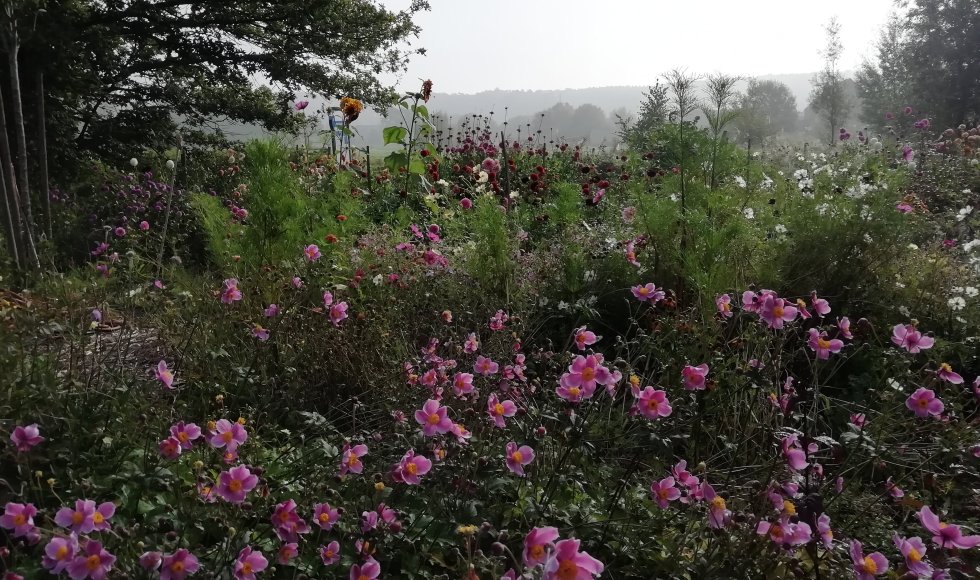 ST. Joris Weert Bookette 4