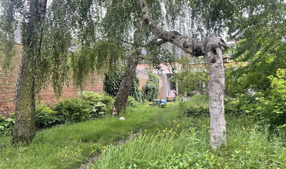 Sanne Rubbrecht_Binnenstraat Aalst_1