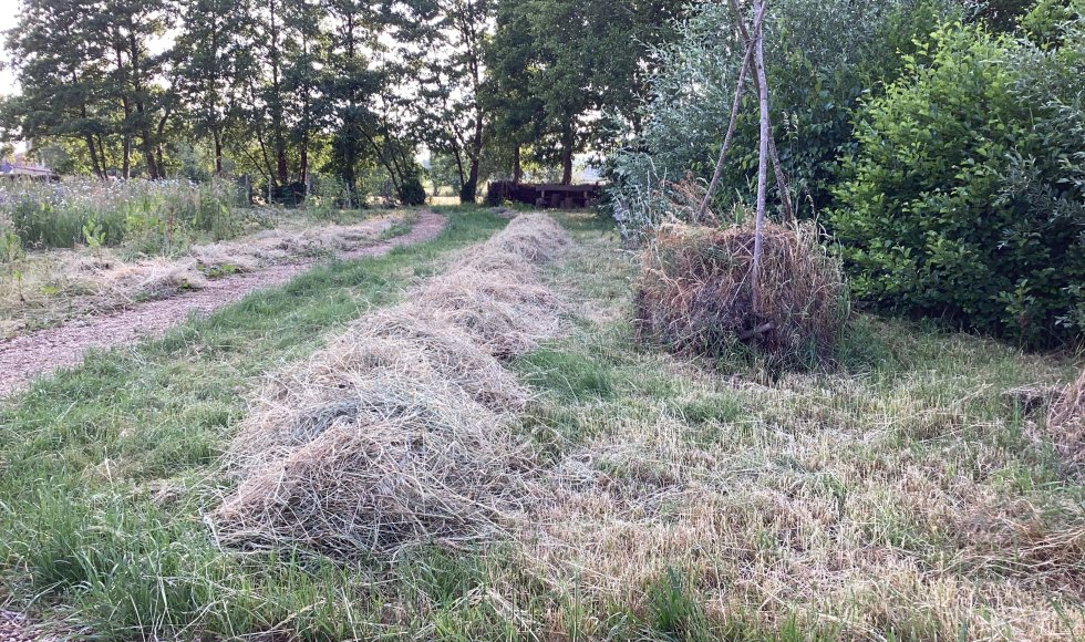 De Schans Voorshoven 29