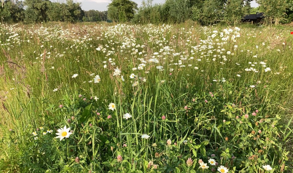De Schans Voorshoven 30