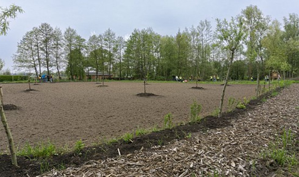 De Schans Voorshoven 35