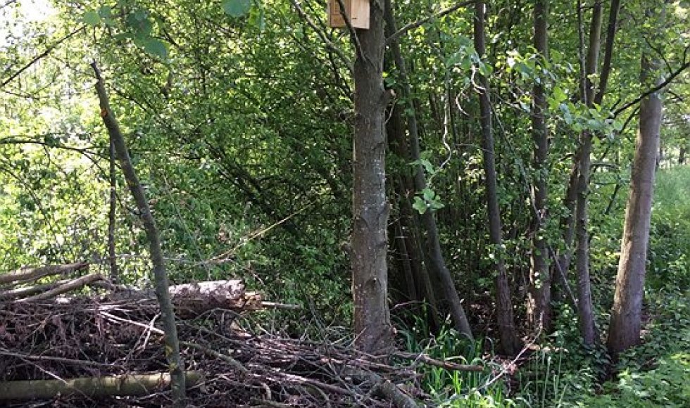 De Schans Voorshoven 37