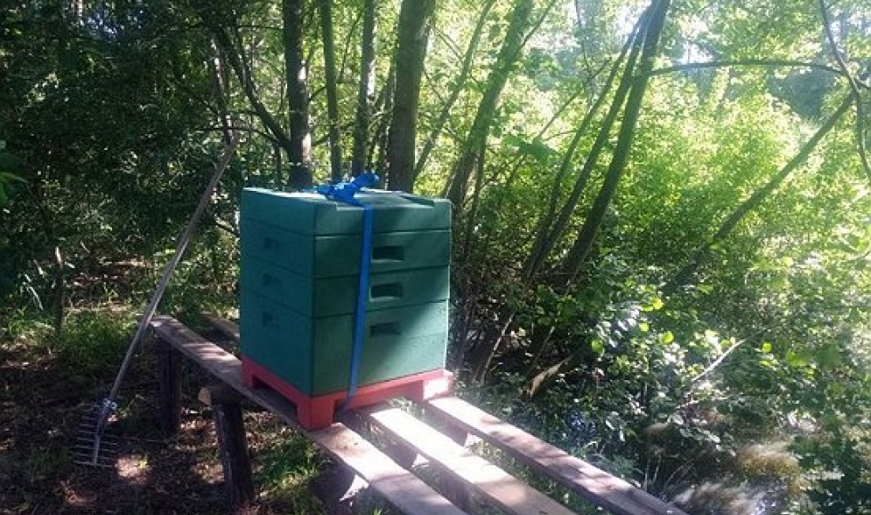 De Schans Voorshoven 40